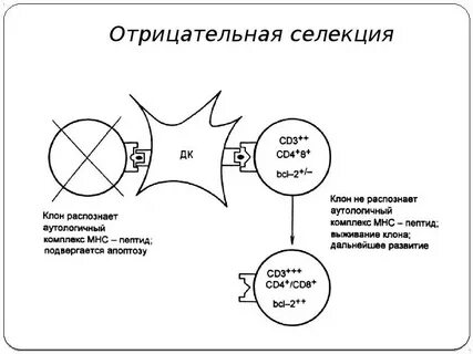 Процесс отрицательного