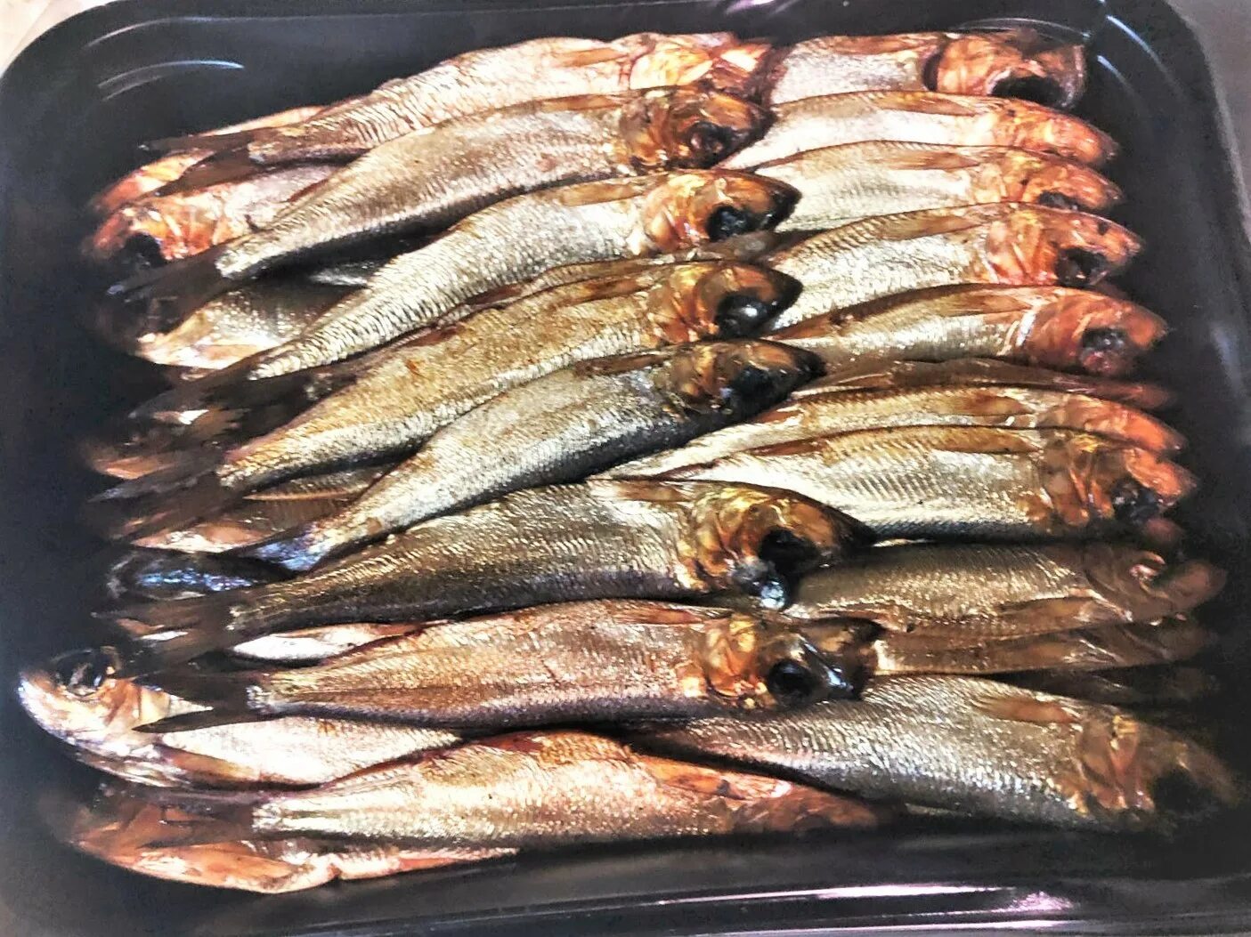 Салака рецепты копчения. Сельдь салака. Салака можно ли коптить. Салака шпроты. Иваси холодного копчения.
