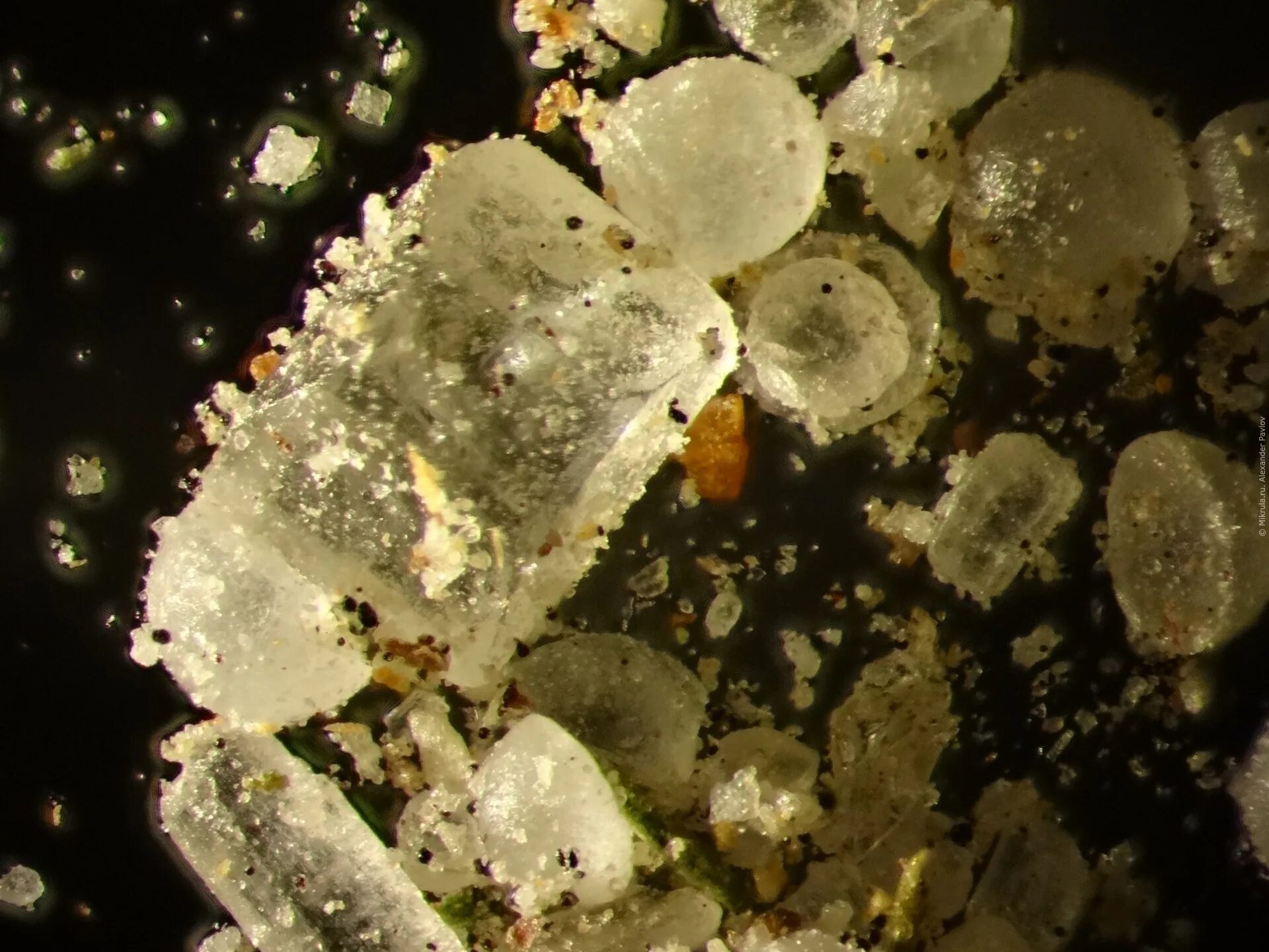 Кристаллики сахара под микроскопом. Кристаллы соли под микроскопом. Соль под микроскопом 200х 400х. Крупинка сахара под микроскопом.