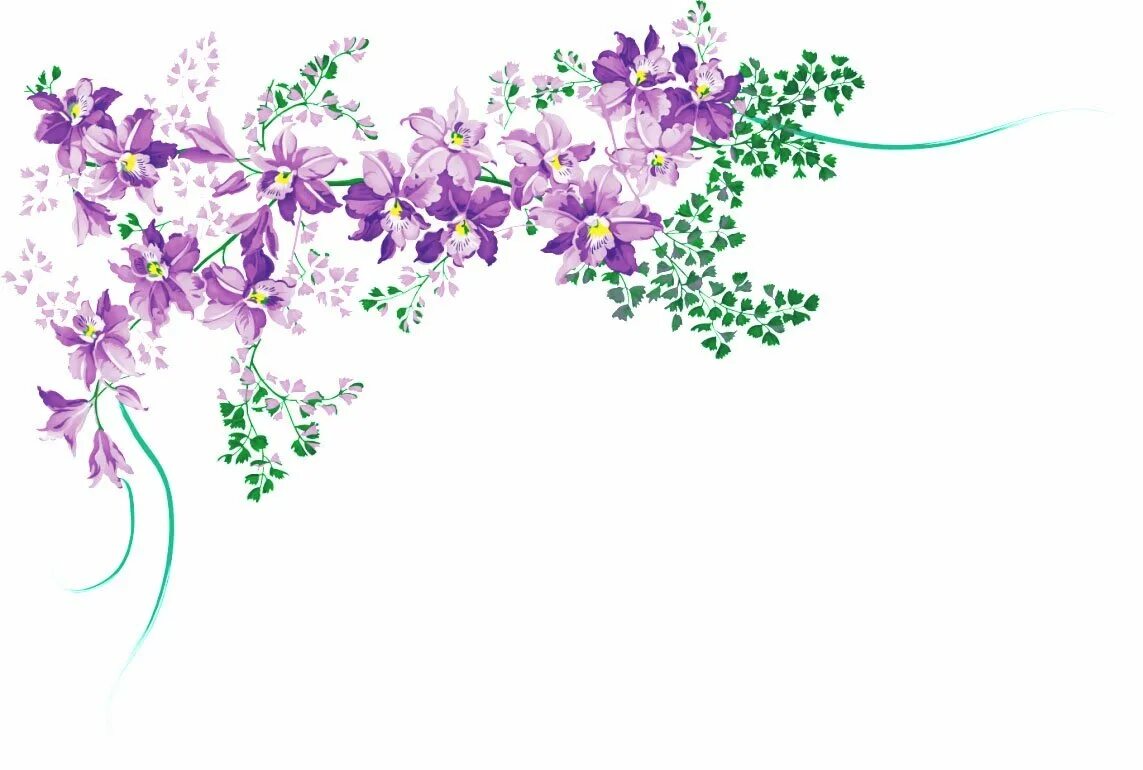 Прайс лист растения. Цветы для визитки на прозрачном фоне. фон для прайс листа салона красоты. цветы для визиток без фона. прейскурант шаблон.