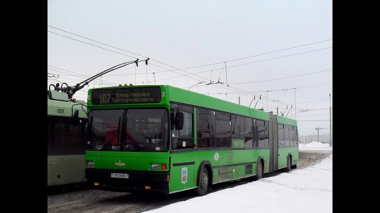 148с автобус минск. 169. Маз 203. Маз 203 х185тт. 148с автобус минск.