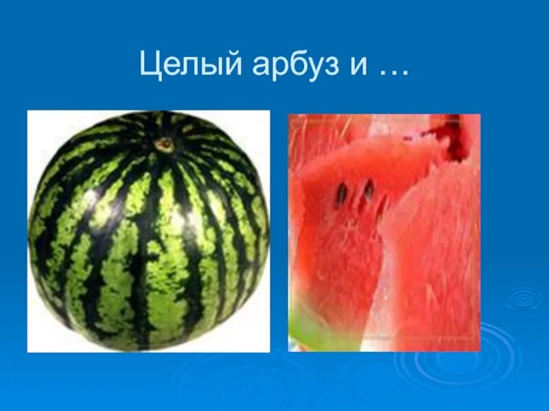 Арбуз прилагательное. Когда появилось слово Арбуз. Арбуз с какого языка пришло. РН арбуза. Из какого языка слово Арбуз.