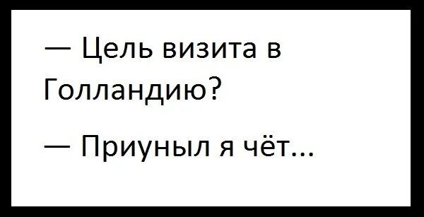 Приуныл как пишется. Цель визита в Голланди. Цель вашего визита в Голландию. Цель визита в Голландию приуныла я чёта. Цель визита визита в Голландию.