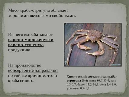 Чем отличается краб
