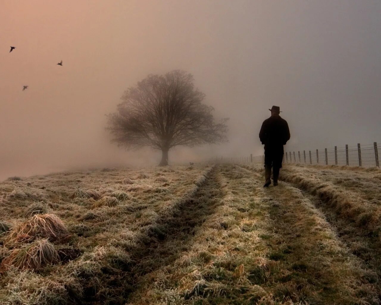 Человек на ночной дороге. Дорога в бесконечность. Уходит в горизонт. Звездное небо дорога. Ушел бесконечности.