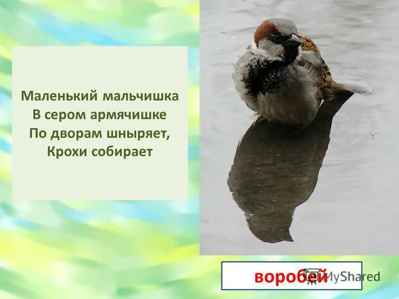 Мальчишка в сером армячишке ответ. Мальчишка в сером армячишке ответ
