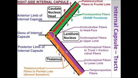 Internal video
