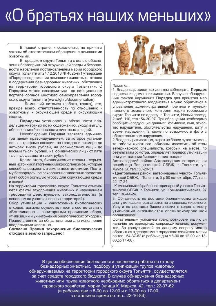 Статьи содержание животных. Содержание домашних животных. памятка по содержанию домашних животных. правила содержания домашних животных. памятка по содержанию домашних питомцев.