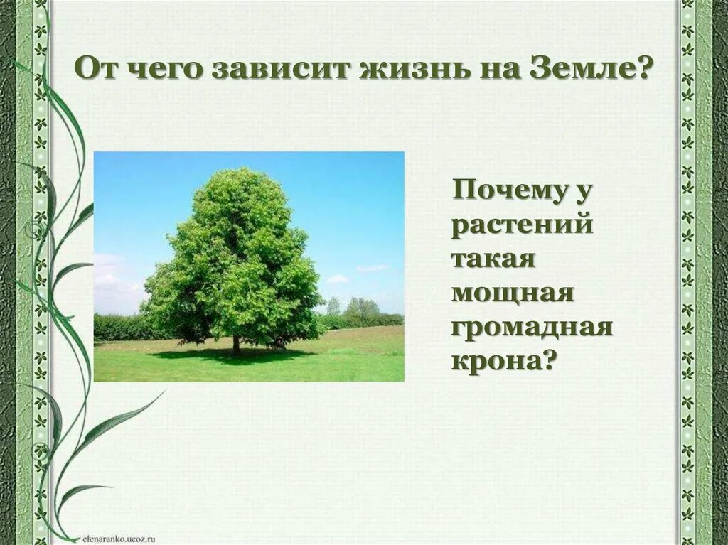 От чего зависит растительный мир. От чего зависит растительность. почему от растений зависит жизнь на земле. почему лист зависит от растений. почему от растений зависит жизнь на земле 5 класс.