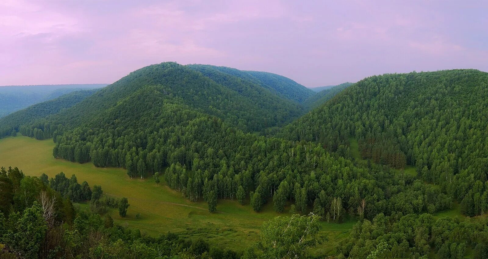 Лес башкирии фото