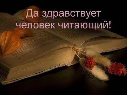 Книга бывший снова моя читать