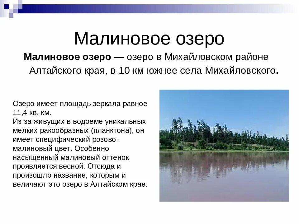 Водные богатства новосибирской области. Малиновое озеро Алтайский край Михайловский район. Малиновое озеро Алтайский край описание. Малиновое озеро презентация. Малиновое озеро озеро Алтайский край.