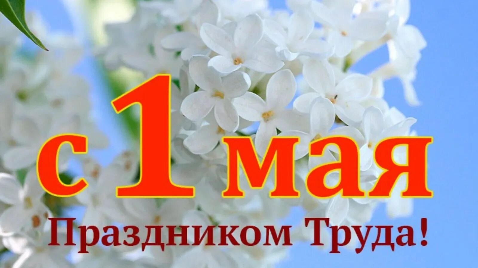 Открытки 20 мая. Мир труд май лозунг. 1 мая фон. Мир труд май. Буква м.