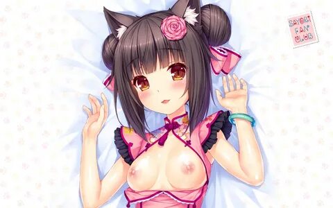 chocola (sayori) Hentai galleries.com