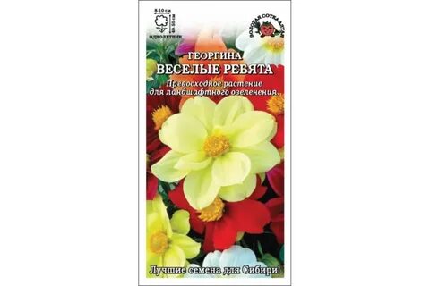 Георгины веселые ребята семена