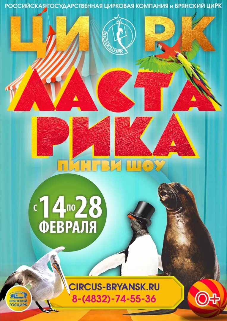 Брянский цирк афиша на март. Цирк брянск. цирк ласта рика. цирк брянск афиша. цирк ласта рика афиша.