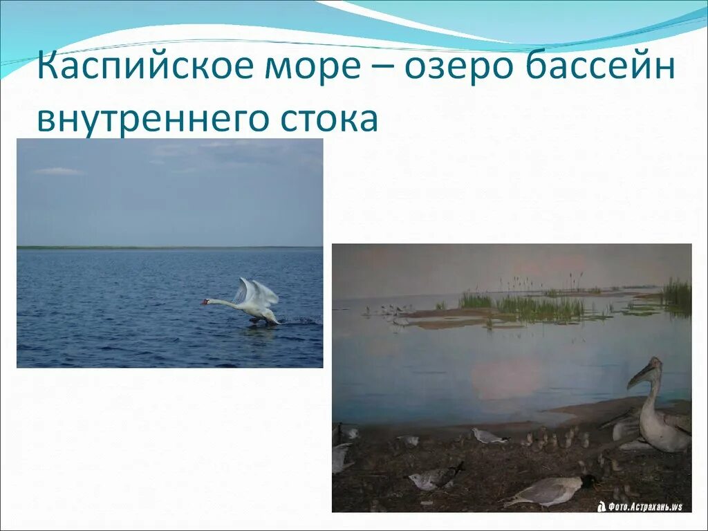 Бассейны каспийского моря реки россии. Бассейн стока Каспийского моря. Бассейн внутреннего стока моря. Каспийское море озеро бассейн внутреннего стока. Внутренний Сток Каспийского моря.