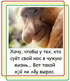 Не суй нос куда