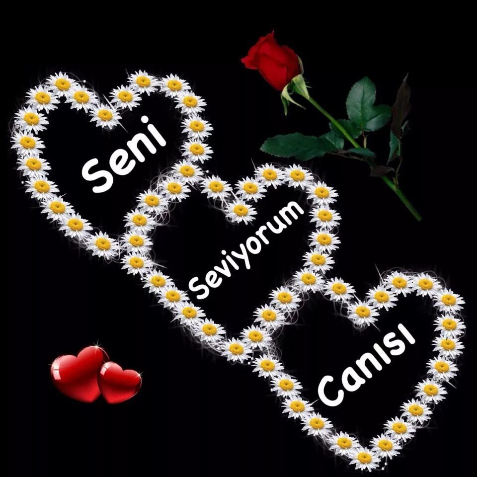 Sen h