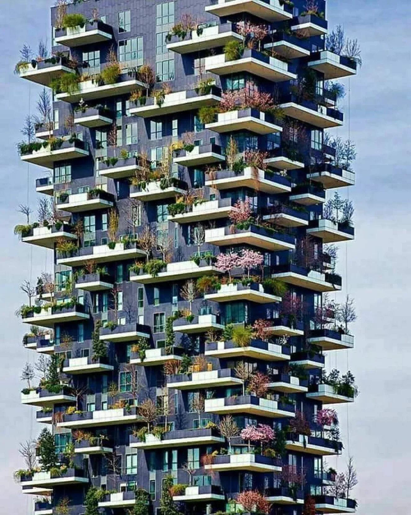 Build amazing