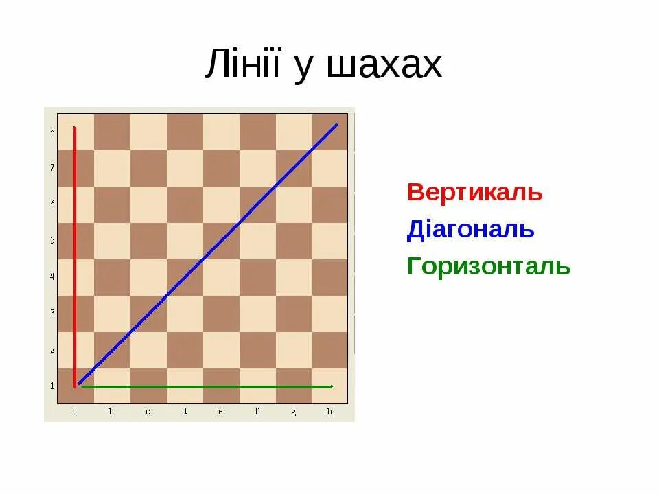 Сколько белых диагоналей на доске. Горизонтальн и вертикал. Горизонталь и ветиликатль. Горзиооатль и Вертикаль. Диагональ горизонталь Вертикаль на шахматной доске.