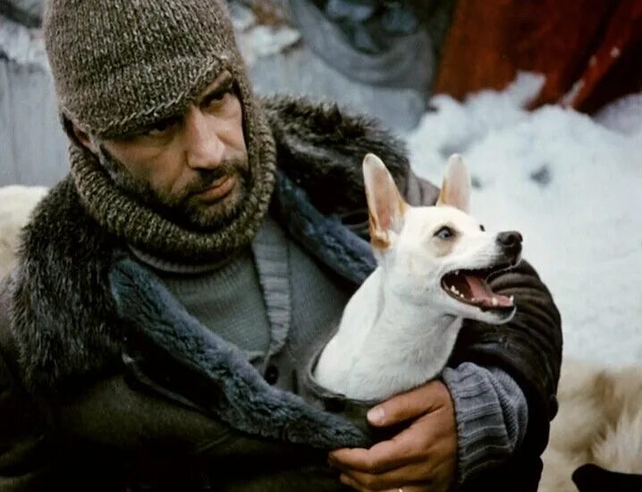 красная палатка