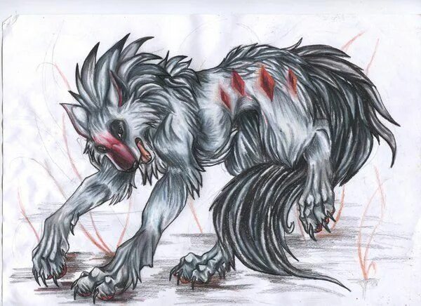 Wolf rule. Wildspiritwolf тигр.