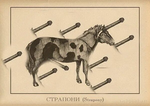 Пони тату эскиз. Млп тату. Пони страпони эльдара джарахова. Пони страпони тату джарахова. Пони страпони тату джарахова.