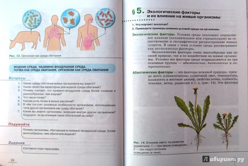 Биология 5 класс 2023 учебник параграф 20. Учебник по биологии 5 класс ФГОС Пасечник. Биология 5 класс учебник параграф 4. Биология 5 класс учебник Пасечник 7 параграф. Новый учебник по биологии 5 класс.