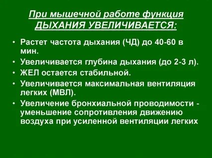 При мышечной работе усиливаются процессы окисления и