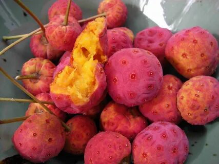 Urban fruit