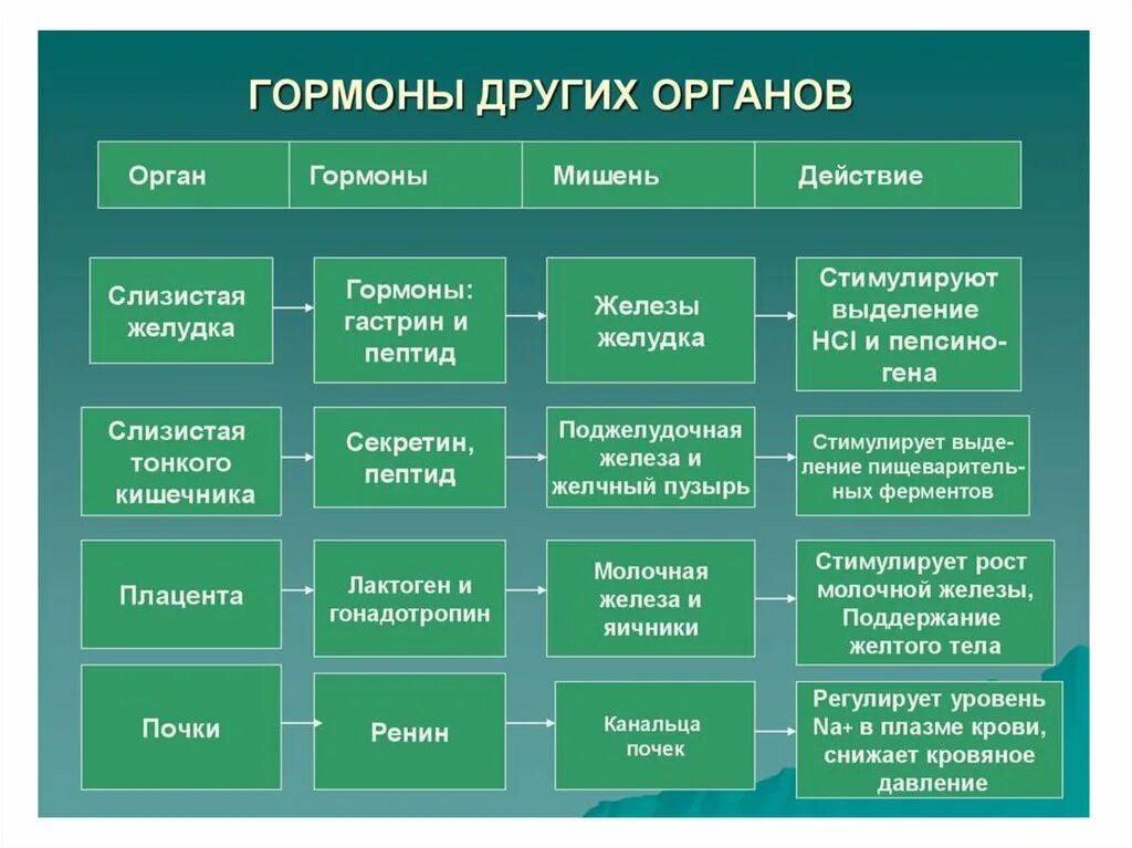 Виды биологических эффектов. Гормоны. Гормоны разных органов. Органы мишени эстрогенов. Что выделяет гормоны.