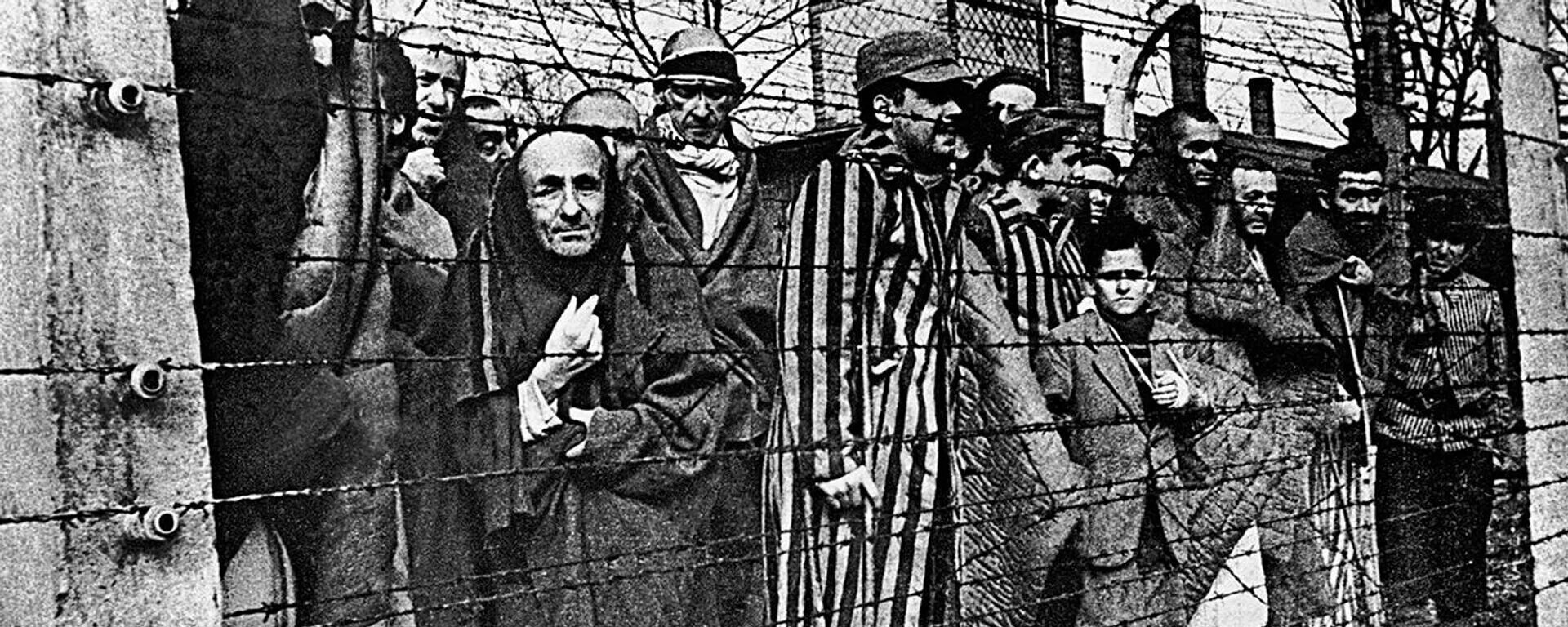 Пленная память. 27 января день освобождения освенцима. Концентрационный лагерь освенцим узники. Пленная память. Пленная память.