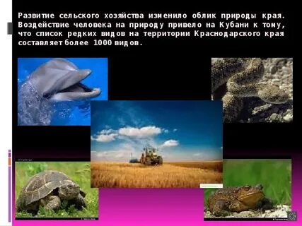 Влияние человека на краснодарский край