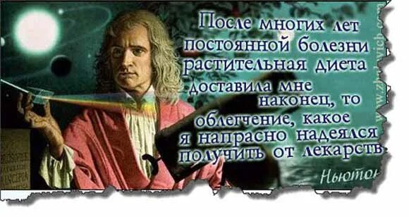 Известные люди о вегетарианстве. Цитаты Ньютона. Цитаты учёных о веганах. Лев толстой о вегетарианстве цитаты. Высказывания ньютона