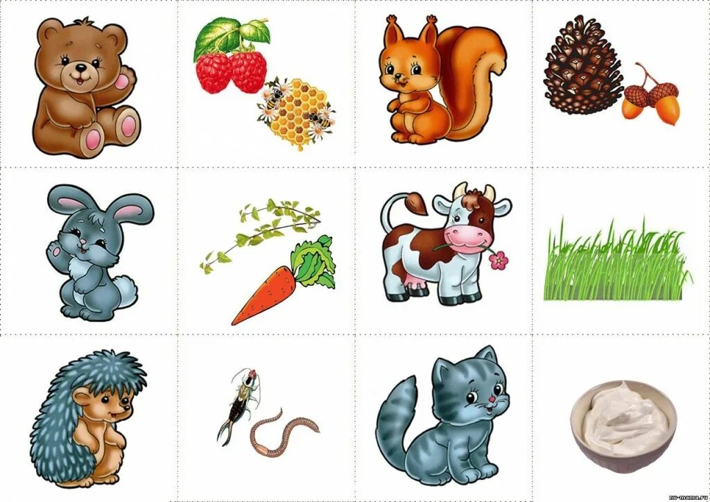 Игры для детей 3 года животные. Кто чем питается. Дидактическая игра кто что ест. Кто что ест. Иллюстрации животных для детей.