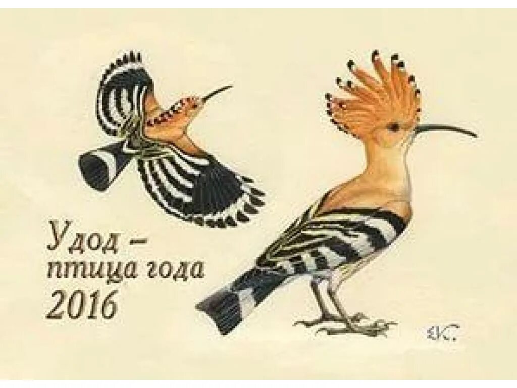 Волонтёрское движение - Логозинская средняя школа Логойского района