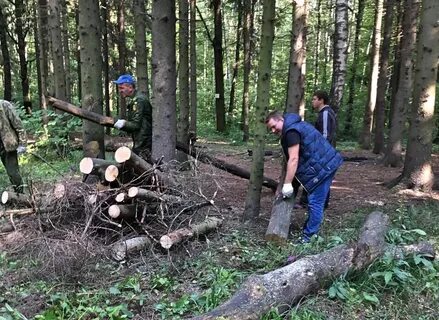Северное города одинцово раскинулся подушкинский лес