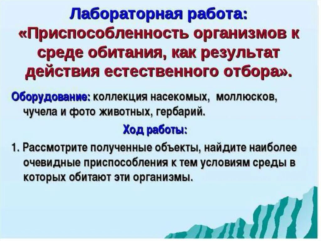 Изучение приспособленности организмов к определенной среде обитания. Приспособленность организмов к среде обитания. Лабораторная работа приспособленность организмов к среде обитания. Лабораторная работа выявление приспособленности. Практическая работа приспособленность организмов.