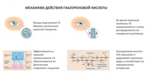 Цистит гиалуроновая кислота