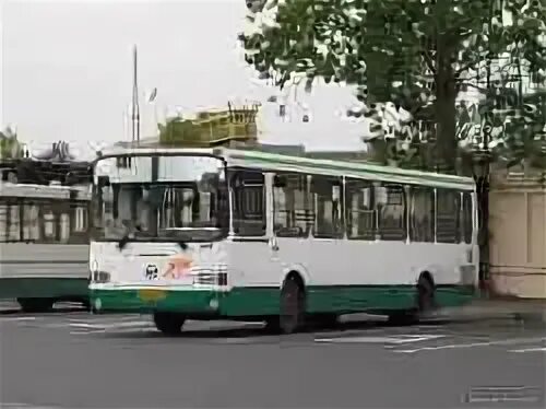 Маршрут 481 автобуса спб