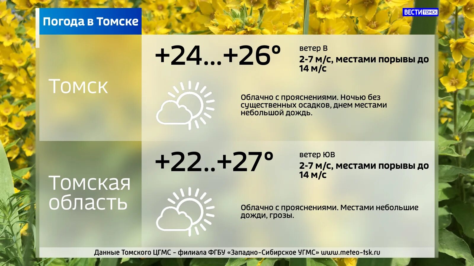 Погода в томске на 14. Погода в Томске. Погода в Томске на 10 дней. Томск климат. Погода в Томске на 3.