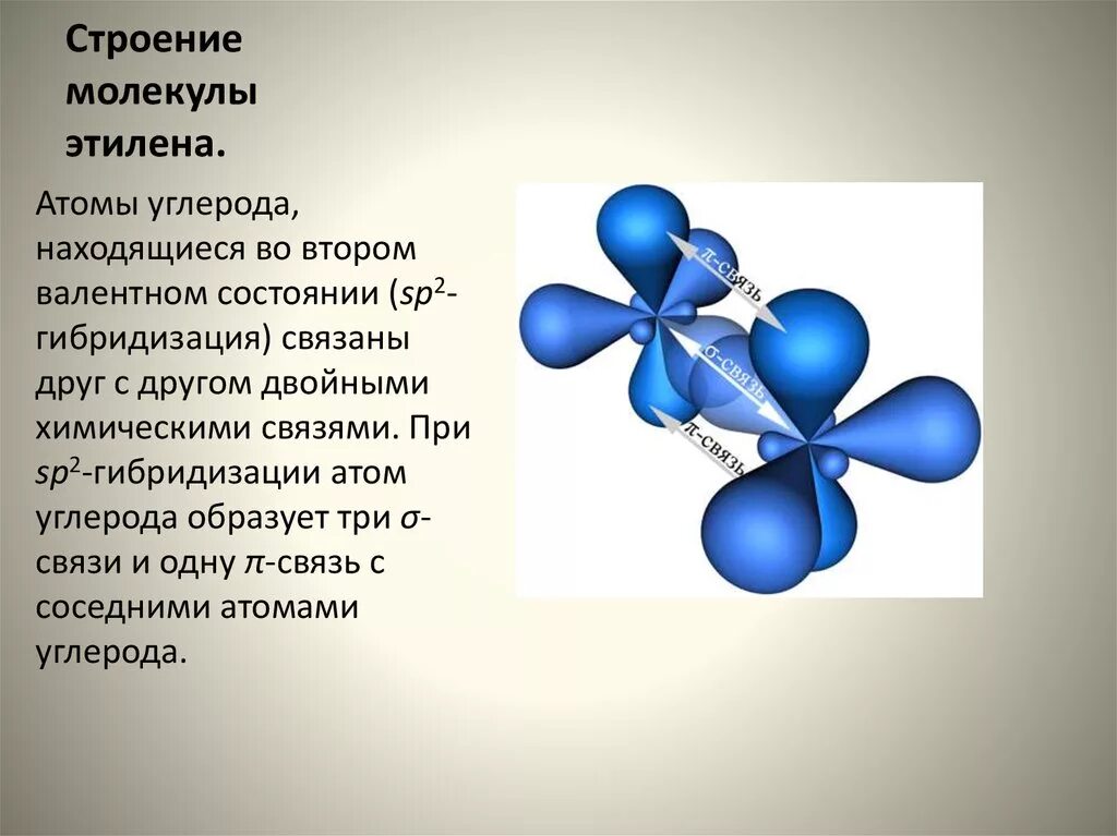 Строение молекулы этилена sp2. Пространственная структура молекулы sp2 гибридизации. Sp2 гибридизация этилена. Строение молекулы этилена гибридизация sp2. Фенол sp2 гибридизация