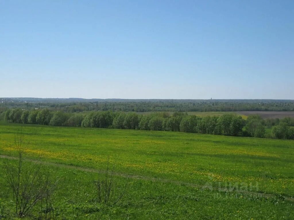 Поля новгородская область. Деревня Любцы Маловишерский район. Деревня Горнецкое Маловишерского района. Орловские поля. Бургинское сельское поселение.