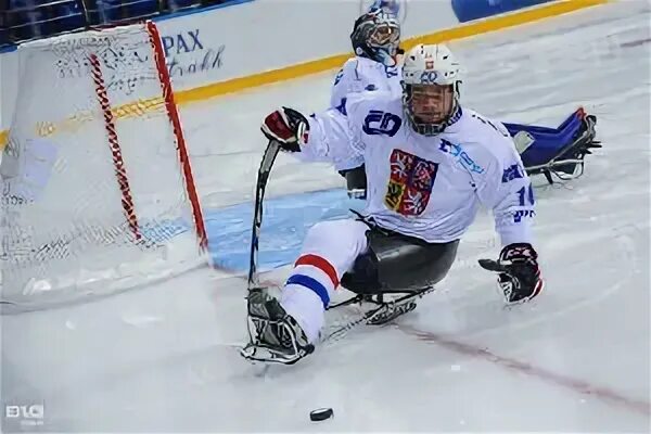 Турнир четырех наций по хоккею