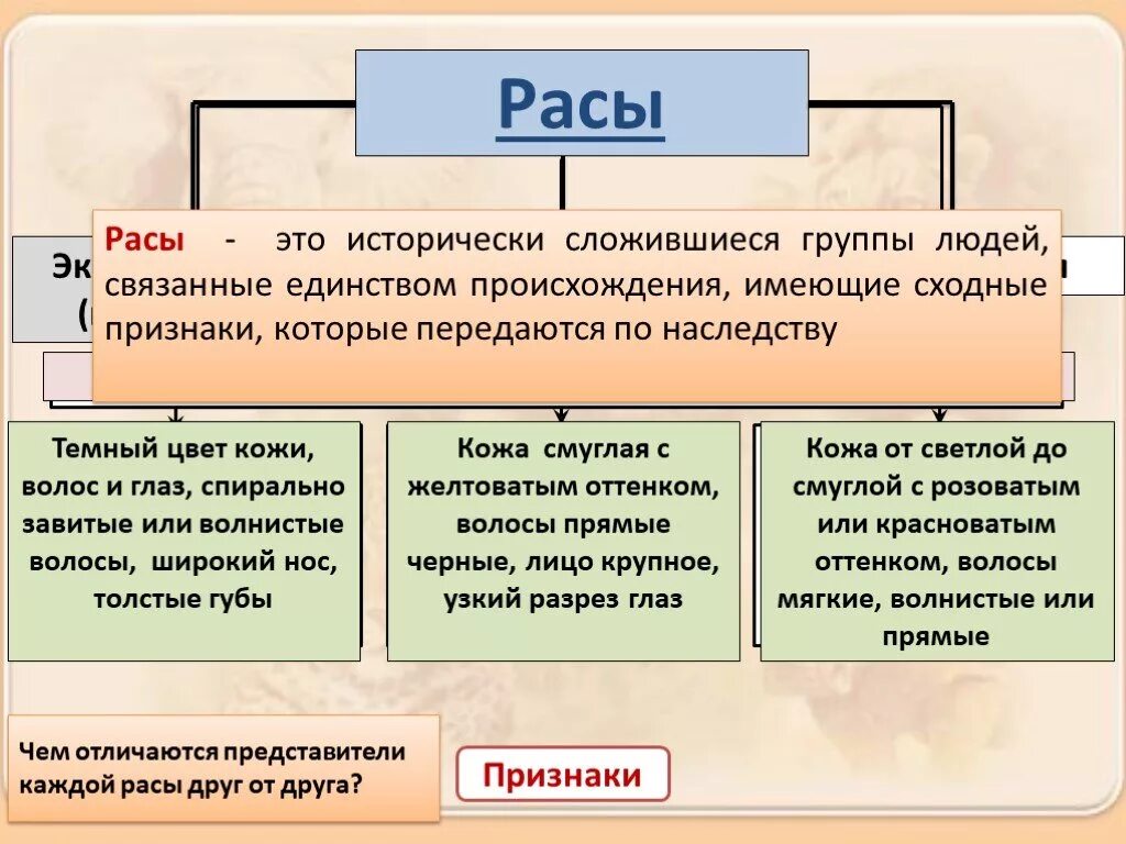 Человеческие расы их родство и происхождение конспект. Раса это исторически сложившаяся группа людей. Расы их происхождение и единство. Человеческие расы их родство и происхождение. Человеческие расы и их происхождение.