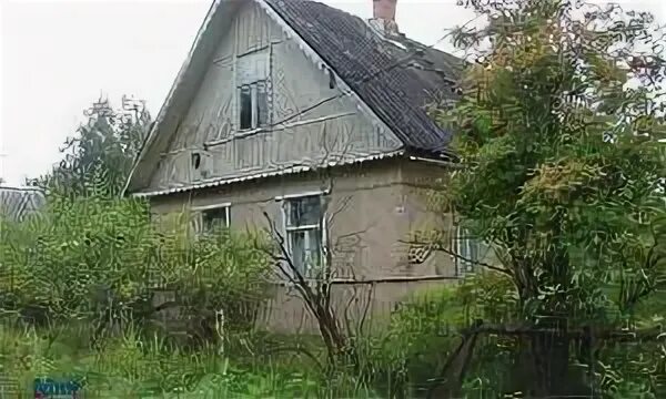 Садоводство строитель 1 на острове в ангарске. Снт строитель покровка первомайский район алтайский край. Снт строитель 1 усолье сибирское. Снт строитель антропшино. Снт строитель байкальск.