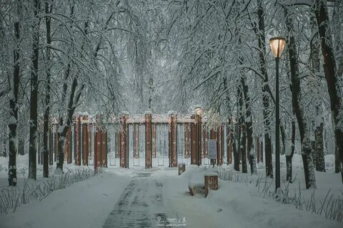 Новый парк швейцария нижний новгород