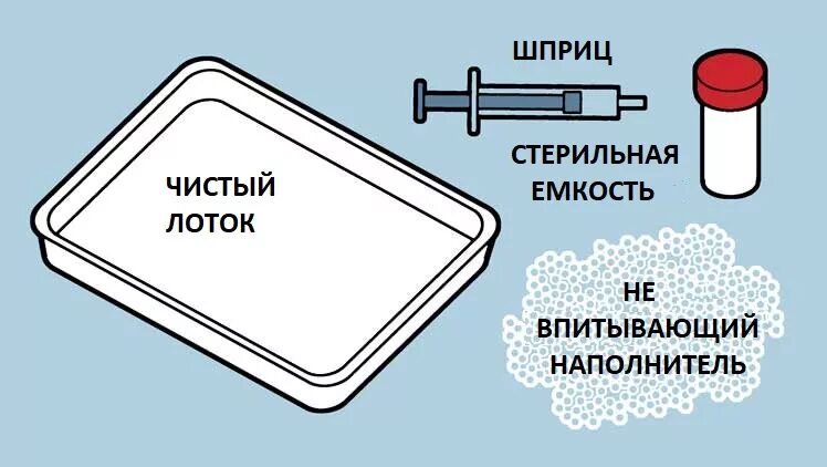 Как взять мочу у кота. Лоток для сбора мочи у кошек. Приспособление для сбора мочи у собак. Как собрать анализ мочи у кота.