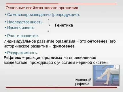 Какова роль данного свойства живых организмов